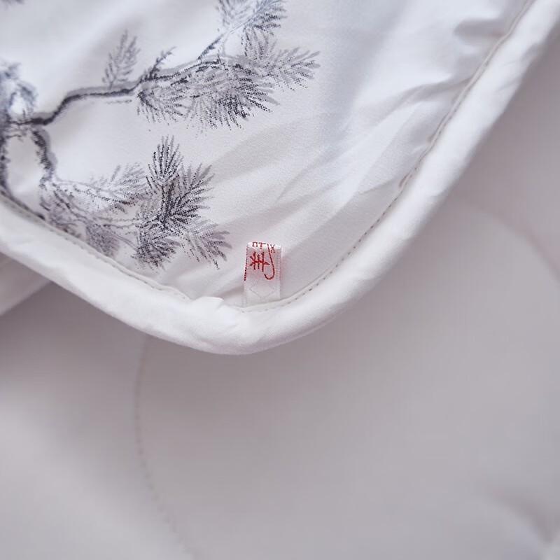 Hengyuanxiang Xiangyi Wool Blend Winter Quilt