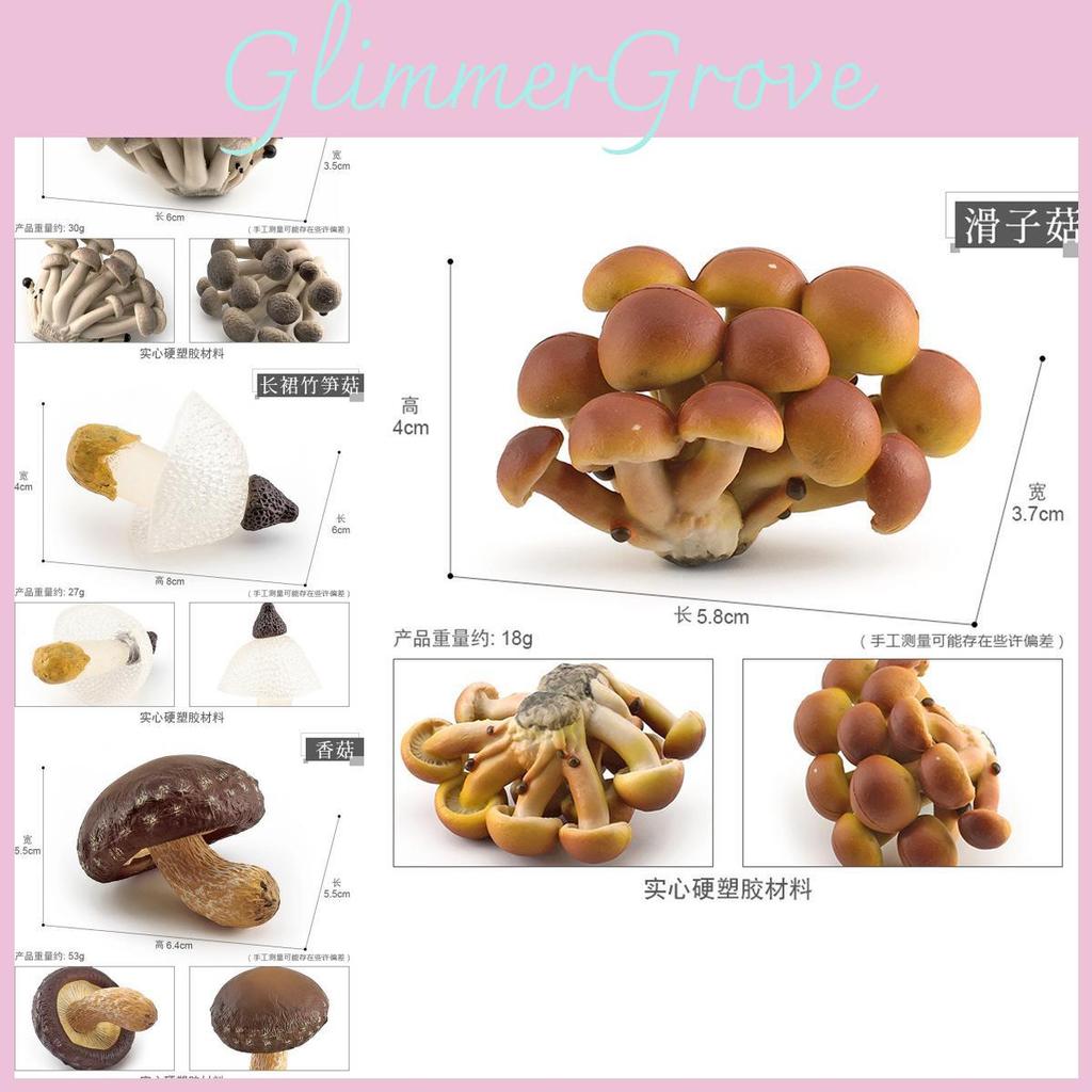 Realistyczny Zestaw Grzybów Zawierający Jadalne Shiitake Enoki Matsutake Trujący Muchomor Modele Dekoracyjne Idealne do Ekspozycji Domowej