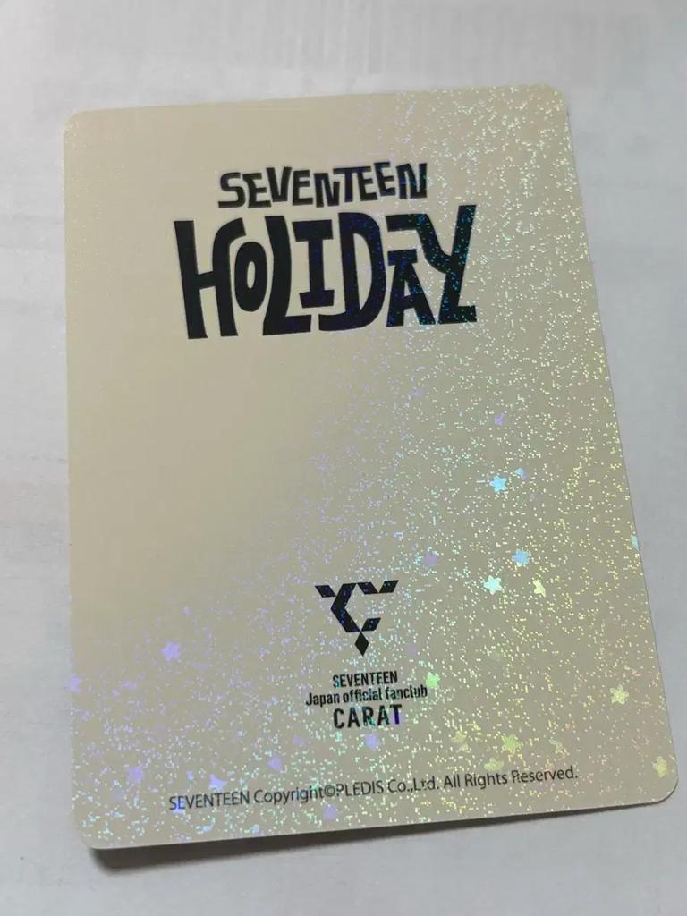 SEVENTEEN 2025 Japan Fan Meeting Holiday Mingyu Update Poké