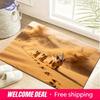 Cute Desert Pokemon Print Doormat Non-Slip Water Absorbent Floor Mat for Home Entrance Decor