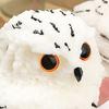 Realistic Owl Squeeze Toy Soft TPR Fidget for Stress Relief Cute Decompression Gadget for Kids Adults Portable Novelty Gift for Anxiety