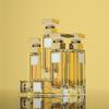 Nowa Woda Perfumowana Perfumy Damskie Dla Kobiet Elegancka Długotrwała Woda Toaletowa w Sprayu 30ml Najlepsze Prezenty