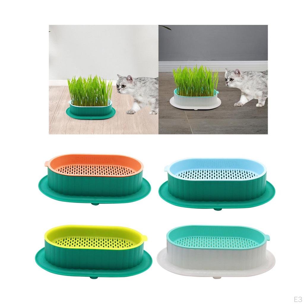 Tray Catnip Cultivation Box Wheatgrass Grower Detachable Pet Cats Grass Growing for