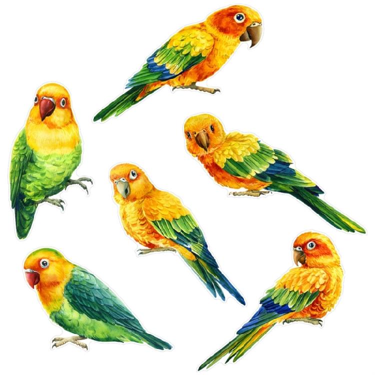 Stylishs Bird Decals for Glass Set of 2 Window Stickers for Safety Decors