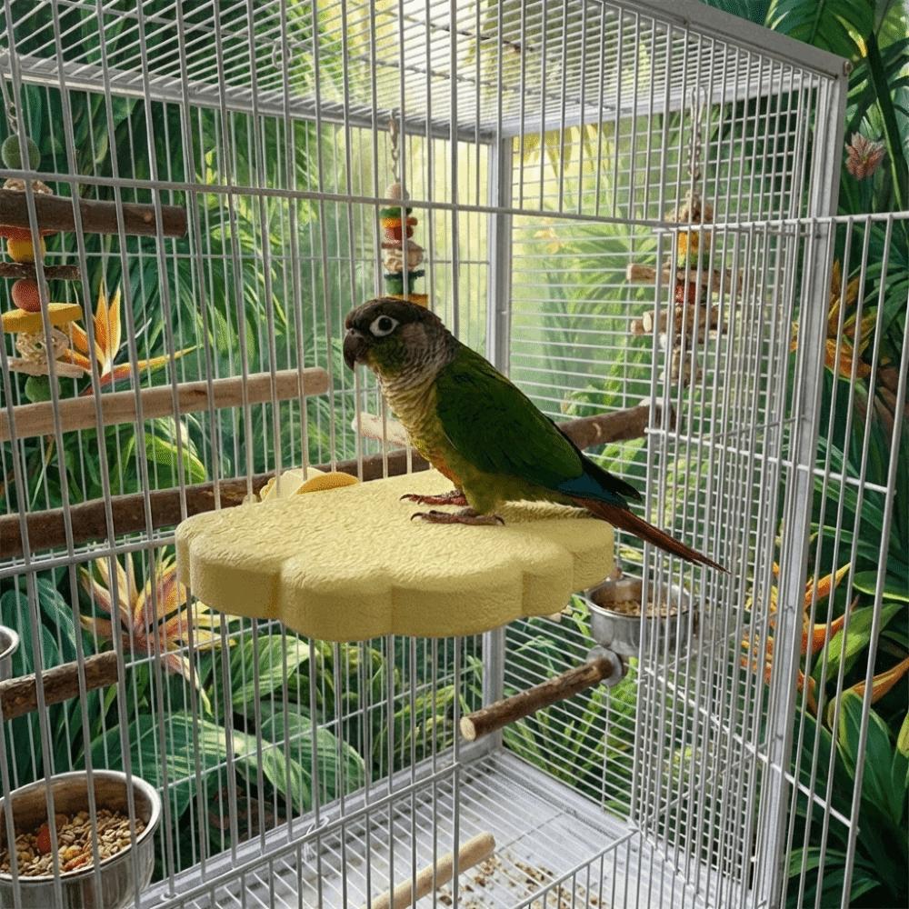 Wear Resistant Bird Resting Platform Cloud Shape Beak Grinding Stand Hopping Stand  Cockatiel