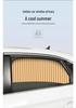 Magnetic Car Sunshade Curtain with Telescopic Track for Privacy