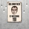 brother Funny Bar Metal Sign Retro Plaque Vintage Sign Alcohol Drinker Pub Club Man Cave Kitchen Wall Decoration