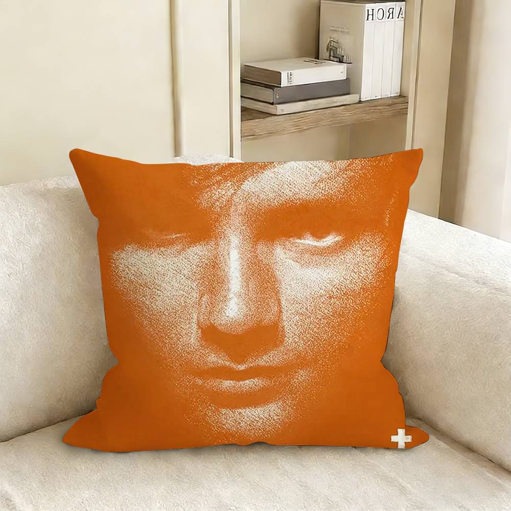 Ed SSheeran Albums Pillow Case Living Room Sofa Cushion Cover Suitable For Home Bedroom Room Decoration