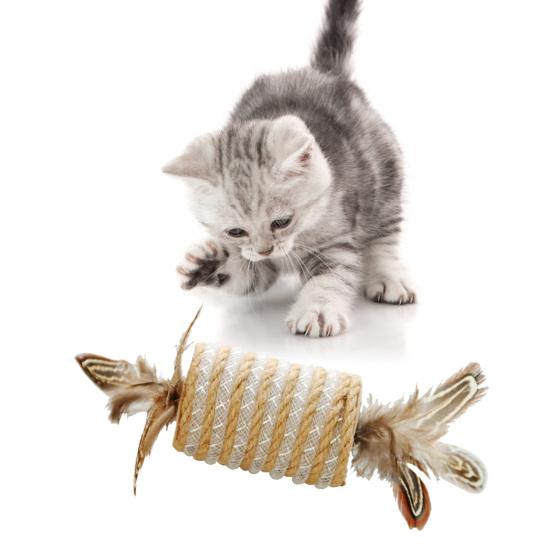 Yousheng Cat Feather Toy Built-in Voice Bite-resistant Scratch-resistant Natural Feathers Pet Cat Kitten Scratching Roller Toy Pet Supplies