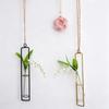 Transparent Test Tube Vases Wall Hanging Glass Vase Hanging Glass Planter  Indoor