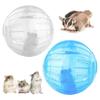 Outdoor Sport Ball Bodenläufer Ratte Kleintier Nagetier Mäuse Ball Bälle Ratte 10cm Bewegung Hamster Rennmaus Spielzeug Laufspielzeug