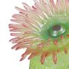 Aquarium Sea Anemone Figures Educational Toys Marine Life Models for Gifts