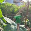 Garden Bamboo Stake Caps Pvc Garden Tool Safety Cover For Gardeners And Home Garden Use
