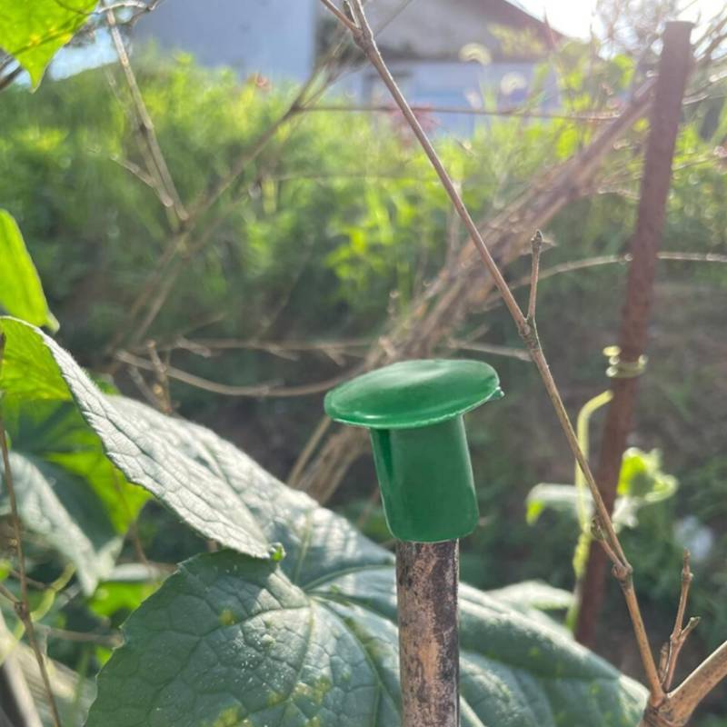 Garden Bamboo Stake Caps Pvc Garden Tool Safety Cover For Gardeners And Home Garden Use