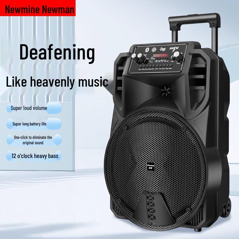 Newman N509 Portable Karaoke Trolley Speaker 12-inch