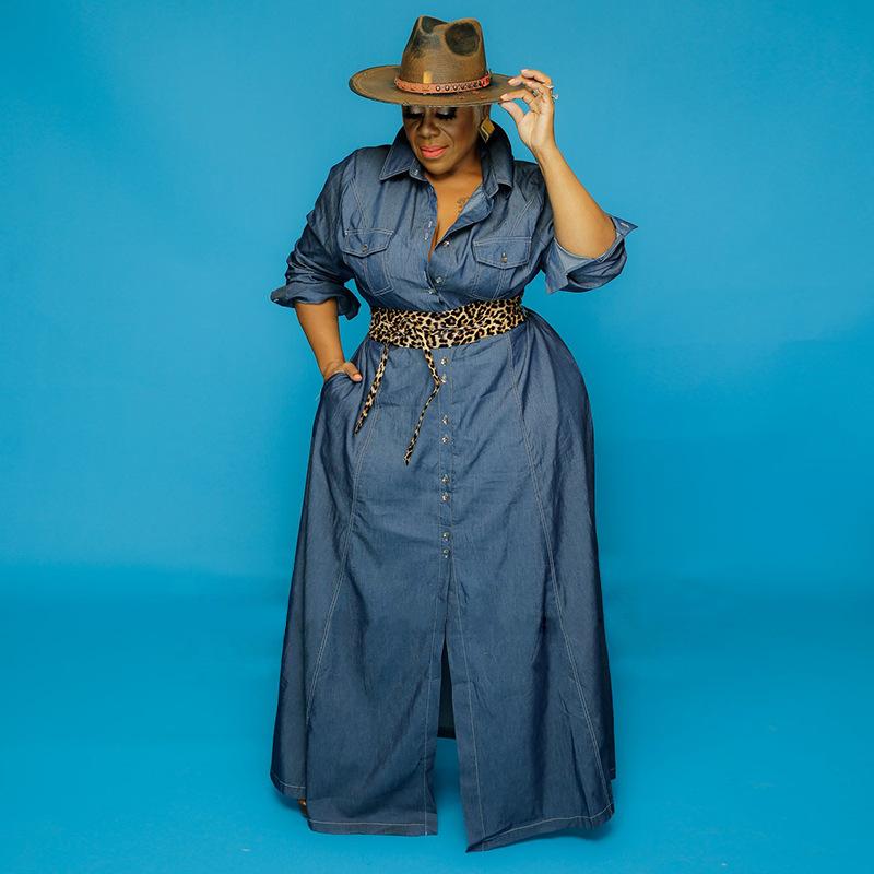 Buy Women's Dress Denim Casual Fashion 