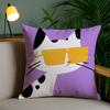 Pillow Case Cartoon Cute Animal Cute Office Sofa Dorm Chair Back Short Plush Double-Sided Printing Home Cushion Cover