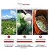 Dragon Boat Festival Sachet: Lavender, Mugwort & Jasmine Mosquito Repellent DIY Kit