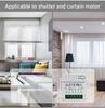 Graffiti APP Smart Voice & Remote Control Wi-Fi Timer for Curtain Motor Switch