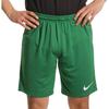 Casual Shorts Men's Green Moderate BV6855-302