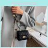 Small Square Bag Women's 2024 New Crossbody Bag Ladies Fashionable Simple Handbag