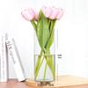 Lucky Bamboo Straight Glass Hydroponic Vase - Simple & Creative Micro Landscape Ornament