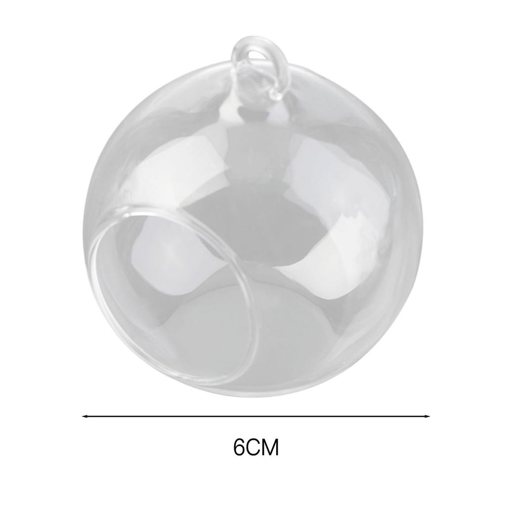 Fillable Bauble Clear Glass Ball Microlandscape Container Open Mouth Plant Pot for Decorating Window or Balcony