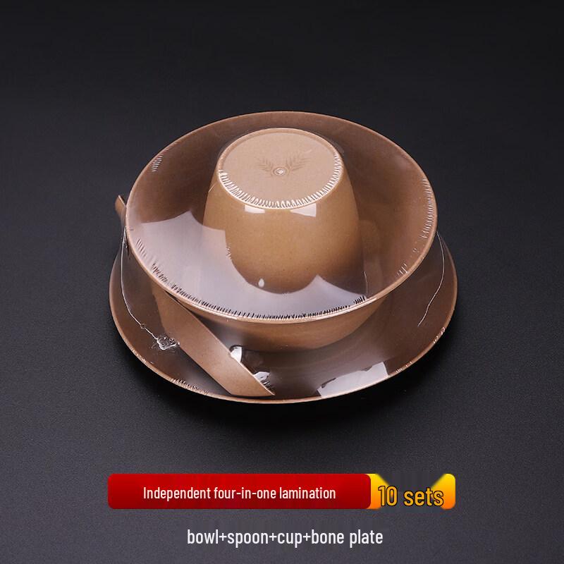 ZISIZ Disposable Tableware Set