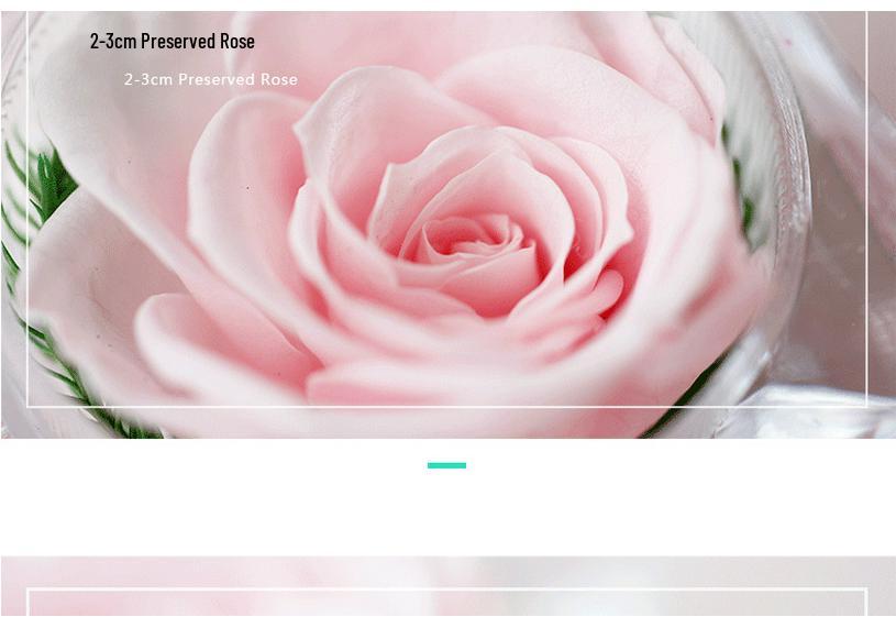 Preserved Crystal Rose Acrylic Flower Gift Box for Valentine's Day Confession
