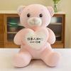 Soft Plush Doll For Children Girlfriend And Wife Heart Little Bear Stuffed Animal Bear Plush Toys Women Valentines Day Gift