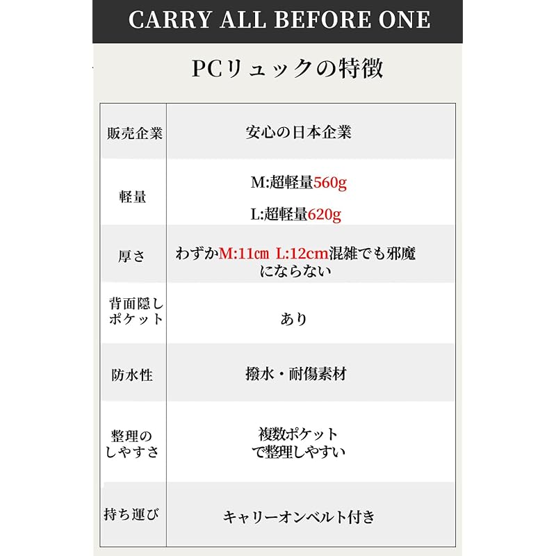 [CARRY ALL BEFORE ONE] PC Backpack Ladies Computer Backpack Business Backpack PC Storage Backpack Carry-on Function Independent PC Pocket Back Pocket