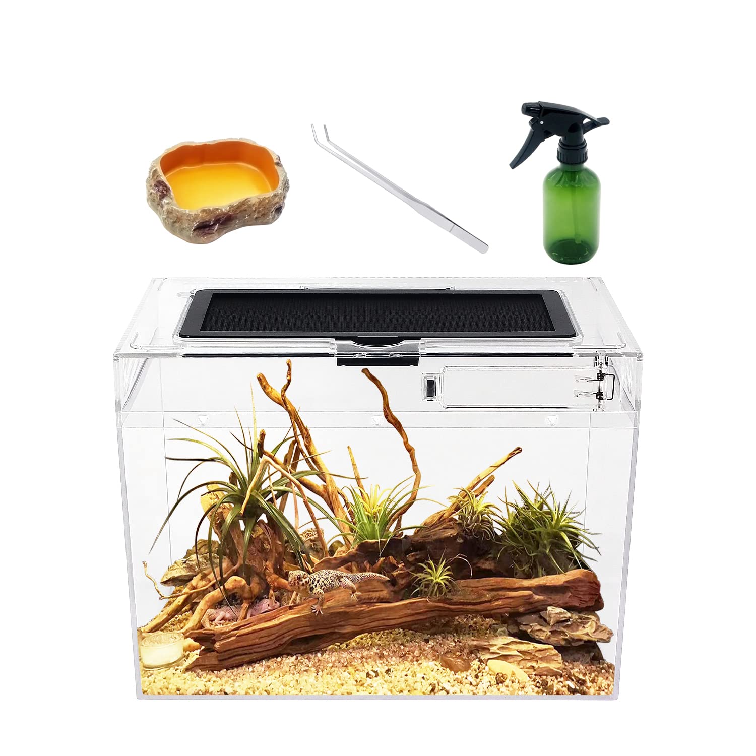 Reptile Growth Transparent Reptile Cage, Reptile Terrarium, Small Animal Cage, Turtle Tank, Amphibian Terrarium, 30*18*22cm, Suitable for Turtles, Spi