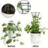 Stackable Plant Trellis Ladders | Indoor/Outdoor Use, Ideal for Climbing Vines, Roses, Lavender, and More| Modern Plant Holder.
