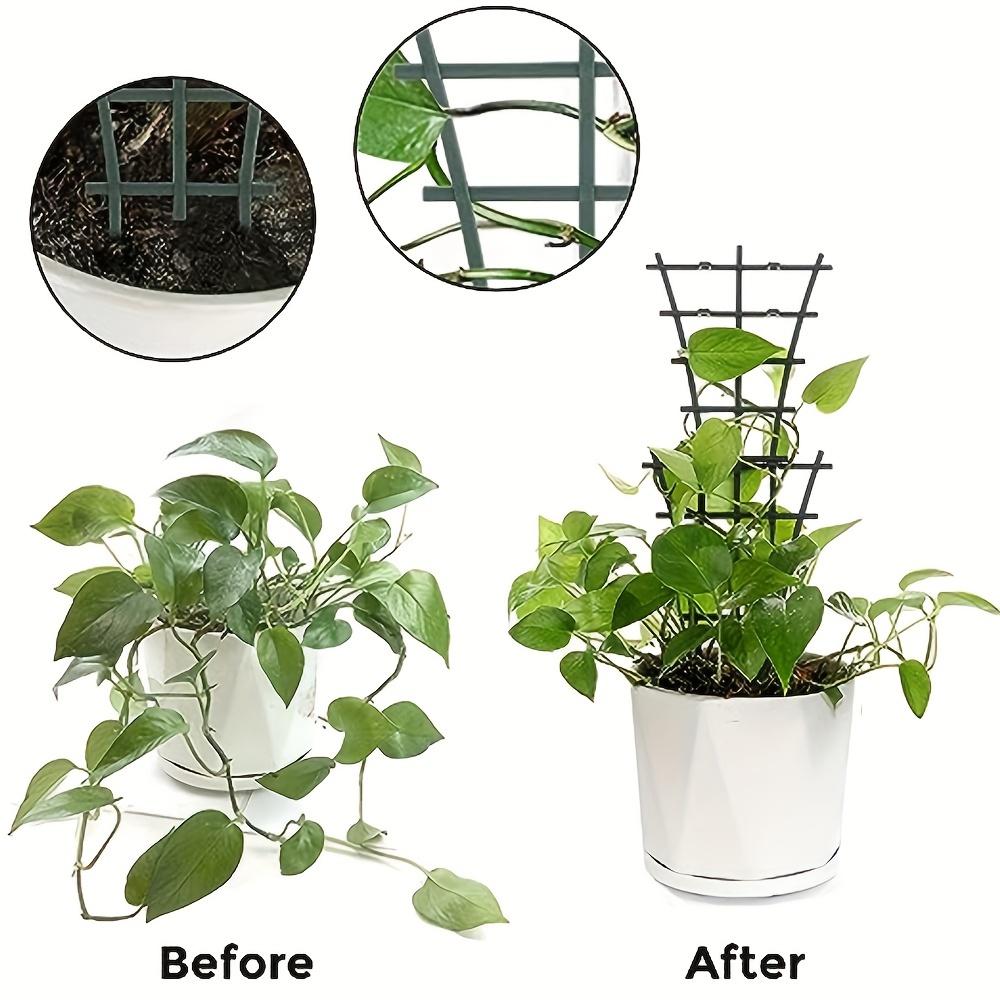 Stackable Plant Trellis Ladders | Indoor/Outdoor Use, Ideal for Climbing Vines, Roses, Lavender, and More| Modern Plant Holder.