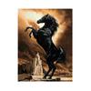 Beautiful Horse Picture Full Drills 5D Diamond Painting Mosaic Embroidery Diy Cross Stitch For Home Decorations J3650