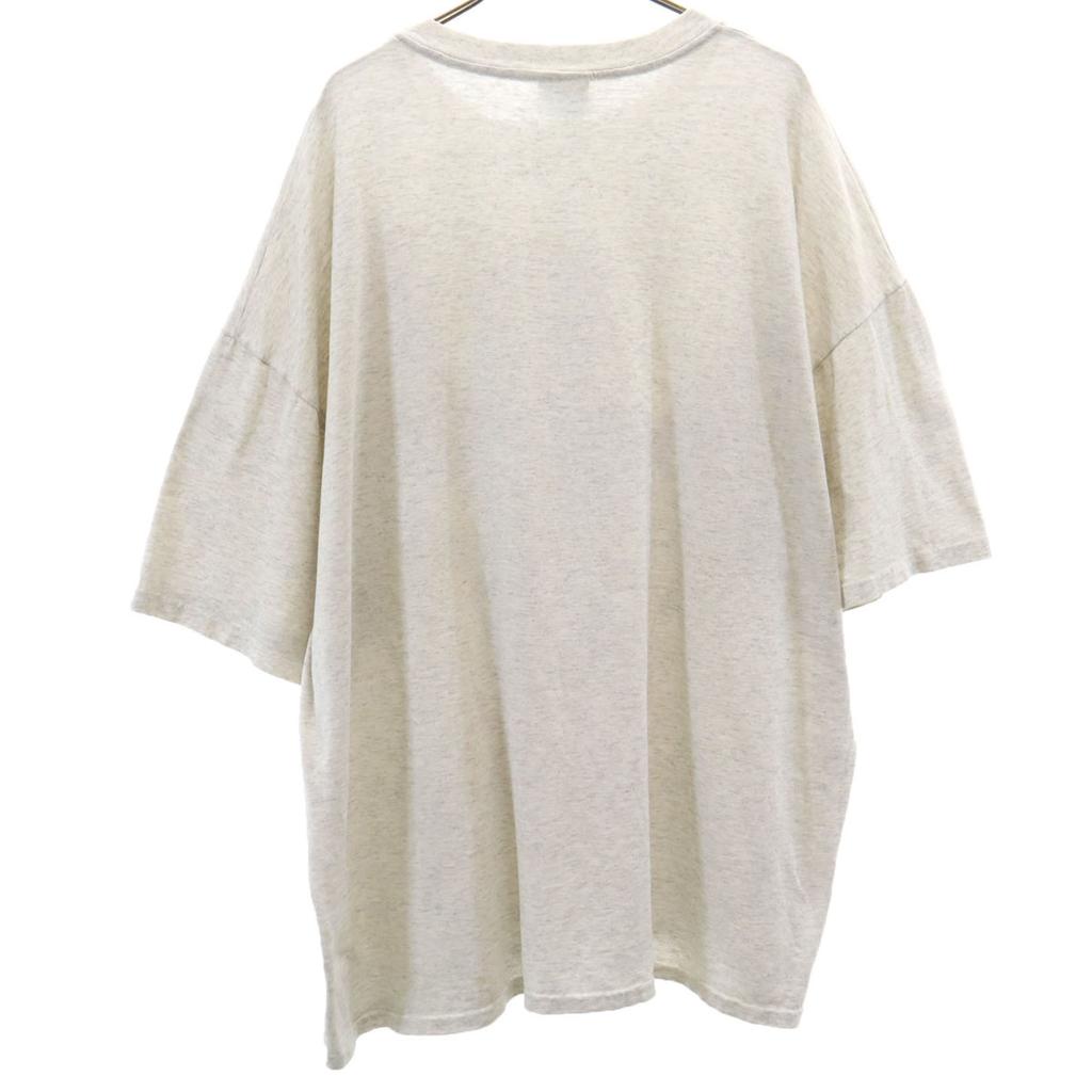 Hanes 90s Old Short sleeve T-shirt XXL Heavyweight Single Stitch Big Size Men's Used