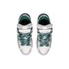 Li Ning Wave Goldleder Sports Rutschfest Dämpfung Abriebfest Niedrig geschnitten Skateboard Schuhe Herren AECS073-2
