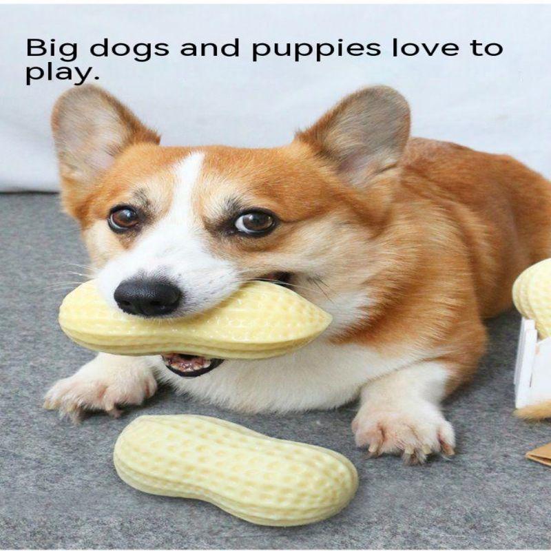 Pet Dog Soundmaking Toy Peanut Relief Tool Teeth Grinding and Bite Resistant Corgi Teddy Chai Dog Small Dog