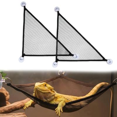 Reptiler – Terrarium