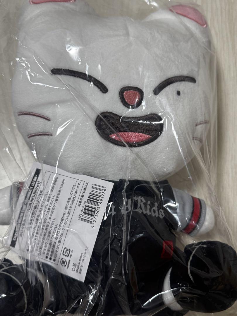 

[Б/У] StrayKids dominATE Genieret Ecopa