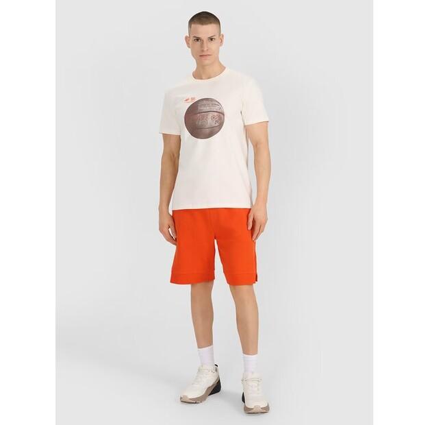 Футболка 4F 4FRSS25TTSHM3093-11S EU XXL