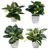 Desktop Ornament Home Decor Ring Plastic Green 1 Pc