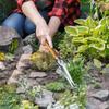 Hand Weeder Puller 5 In 1 Manual Hand Weeder & Weeds Puller For Planting Gardening Weeding Tool Stainless Steel Garden Trowel