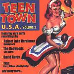 

CD VARIOUS Teen Town U.S.A. Volume 2 YEAAH11 Yeaah 2004 UK Rock Used