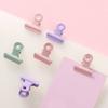 Paper Clips Set Sturdy Box Packed Light Cute Portable Multi Purpose Office Clips Set for Family School Business Green