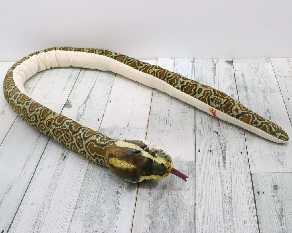 Take Off Python