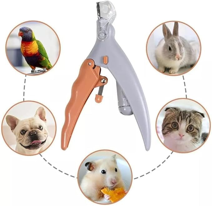 Pet nail clippers with LED light and sharpening for dogs and stainless steel safety compact low suitable for small to large nail care set function,