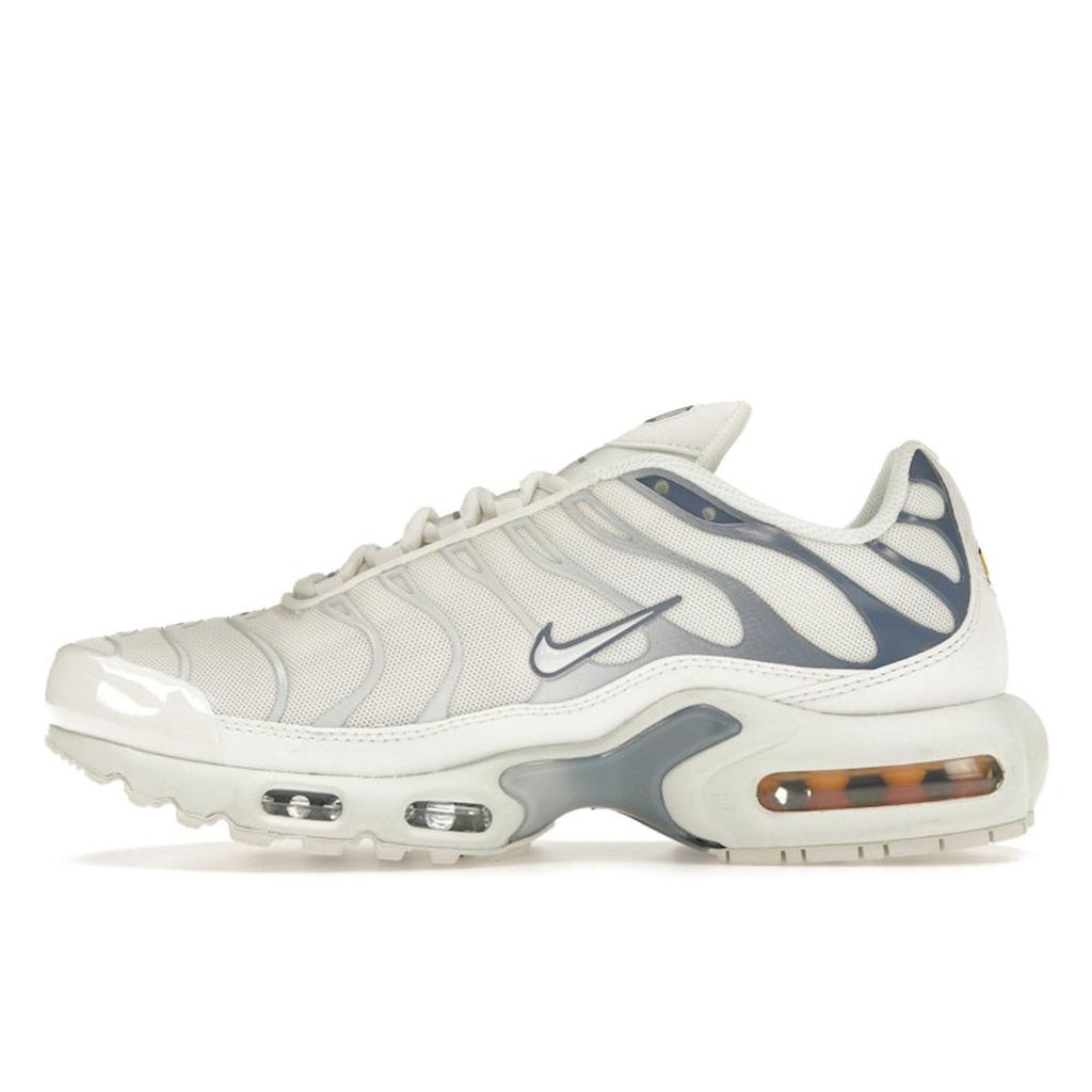 Nike Air Max Plus Ashen Slate DZ3671-104
