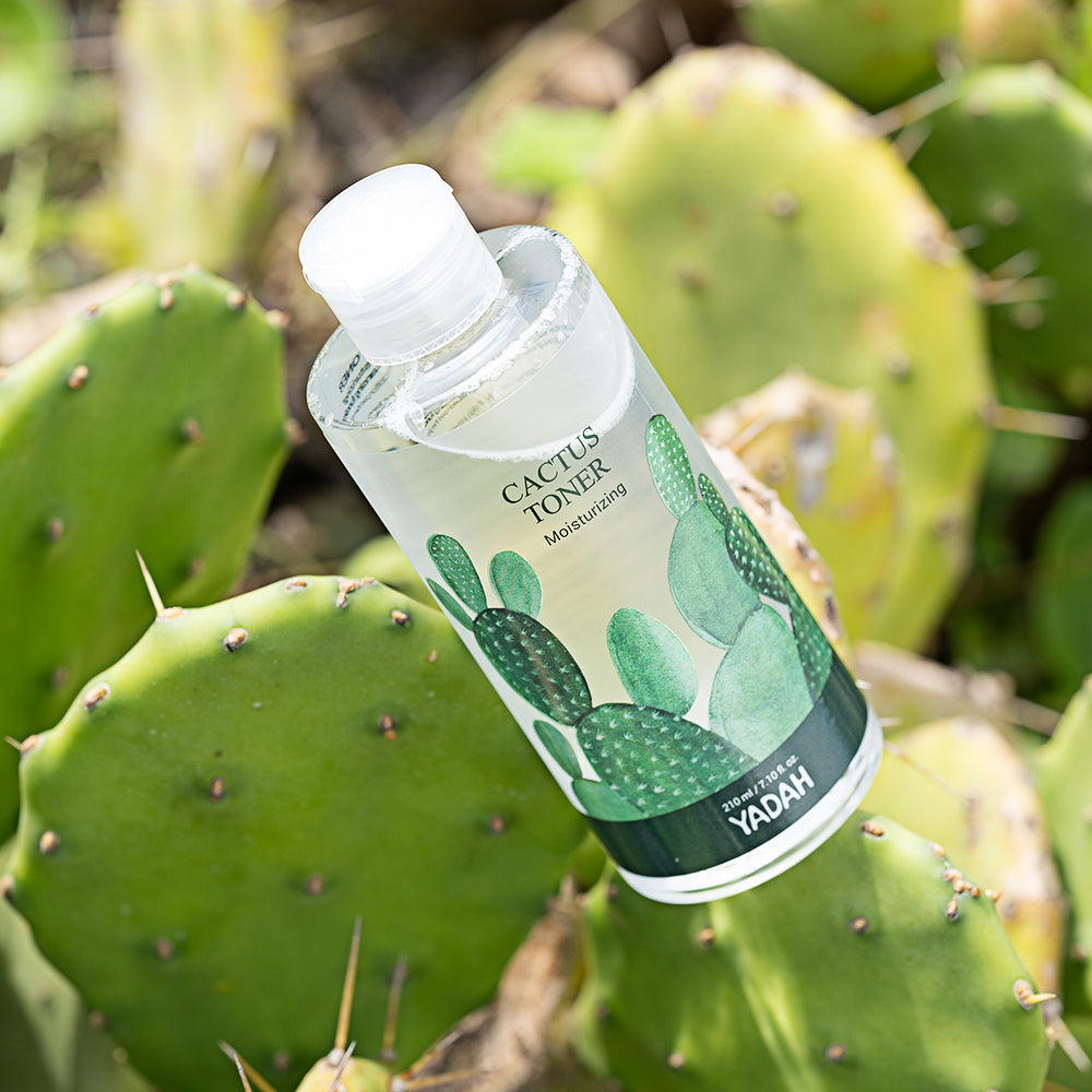 YADAH Kaktus Toner 210ml