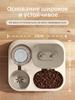 Two-in-one pet feeder
